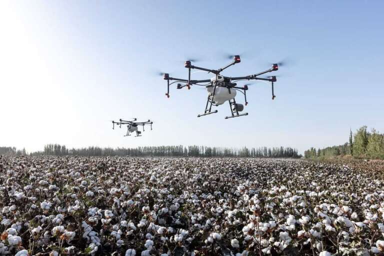 Cotton Holding onto Midday Losses on Friday