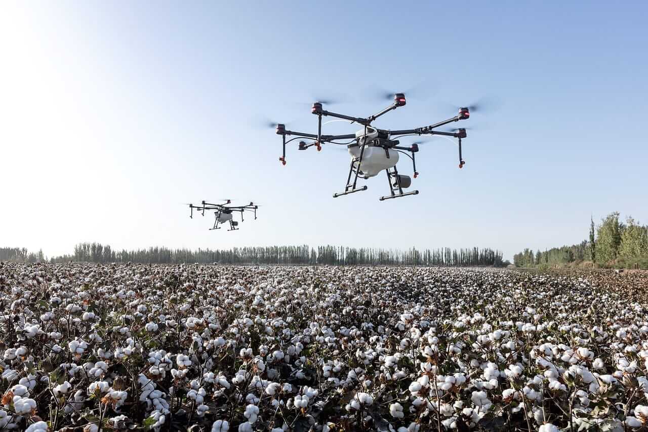 Cotton Holding onto Midday Losses on Friday