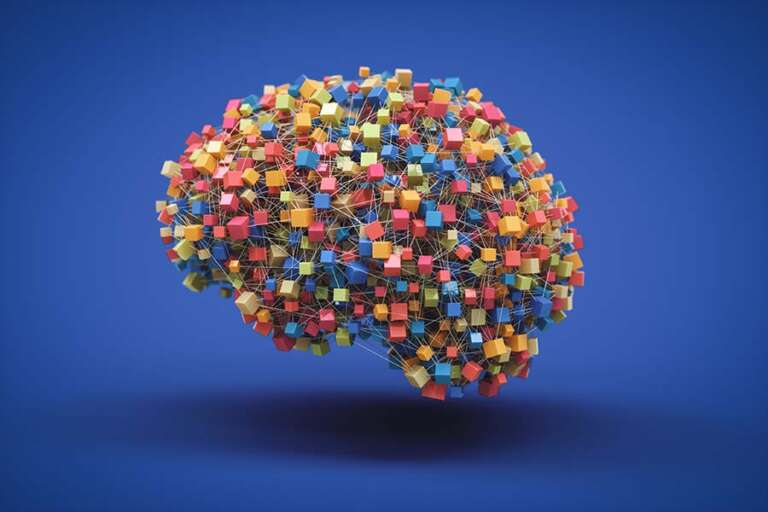 How artificial neural networks build their own learning machinery | MIT News